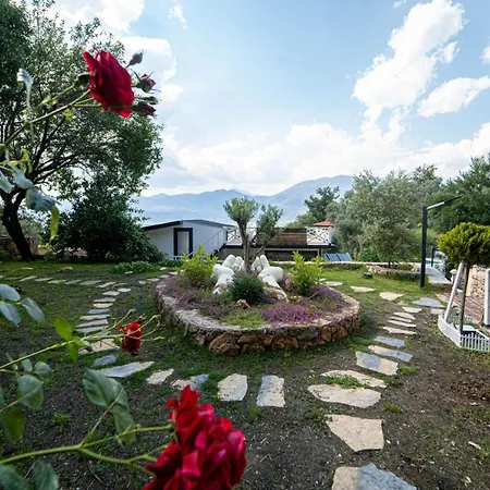 Amazing With Pool And Jacuzzi In * 费特希耶