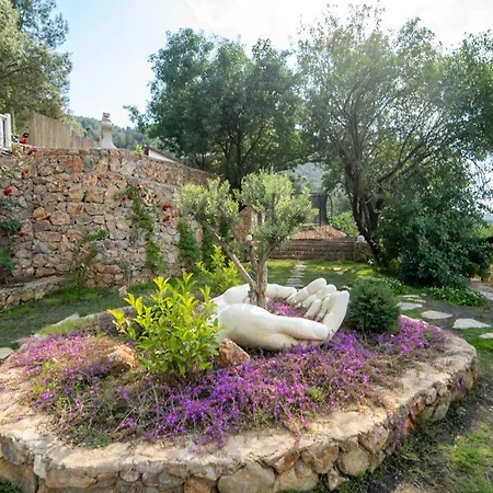 Apartament Amazing With Pool And Jacuzzi In